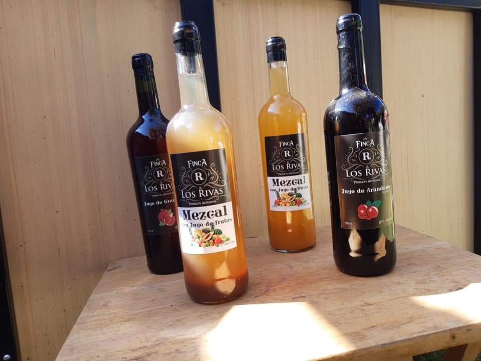 Finca Los Rivas